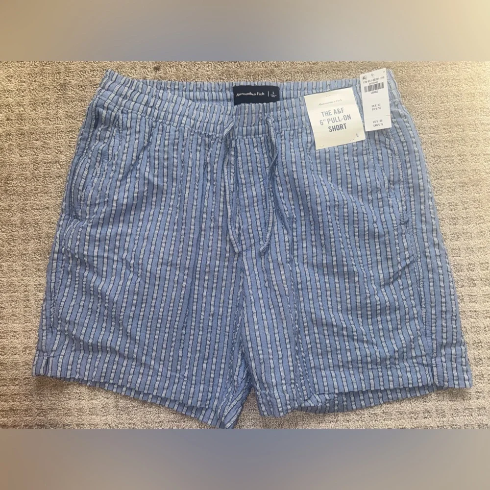 Abercrombie & Fitch Blue Striped Pull-On Shorts 6” Cotton Size L NWT - Picture 1 of 4